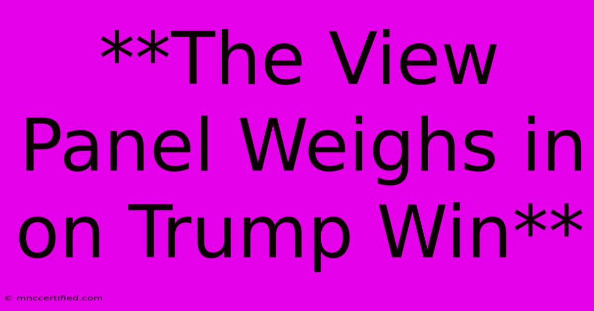 **The View Panel Weighs In On Trump Win**