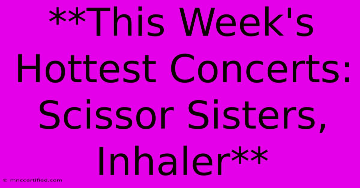 **This Week's Hottest Concerts: Scissor Sisters, Inhaler**