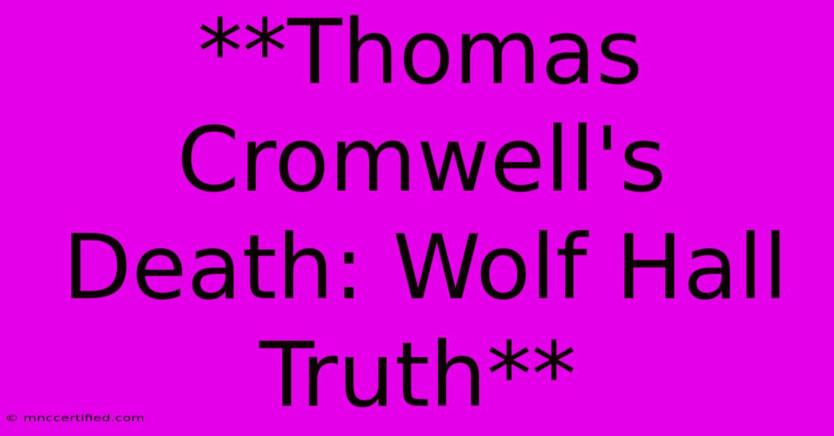 **Thomas Cromwell's Death: Wolf Hall Truth**