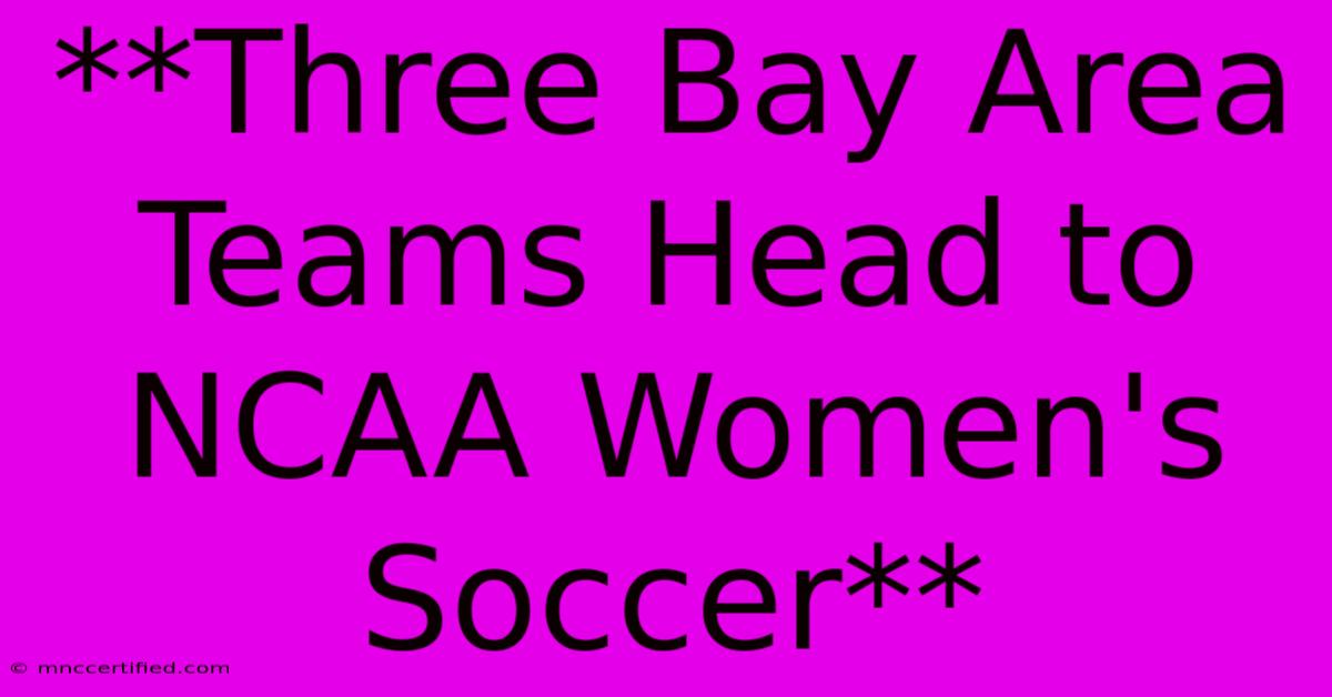 **Three Bay Area Teams Head To NCAA Women's Soccer**