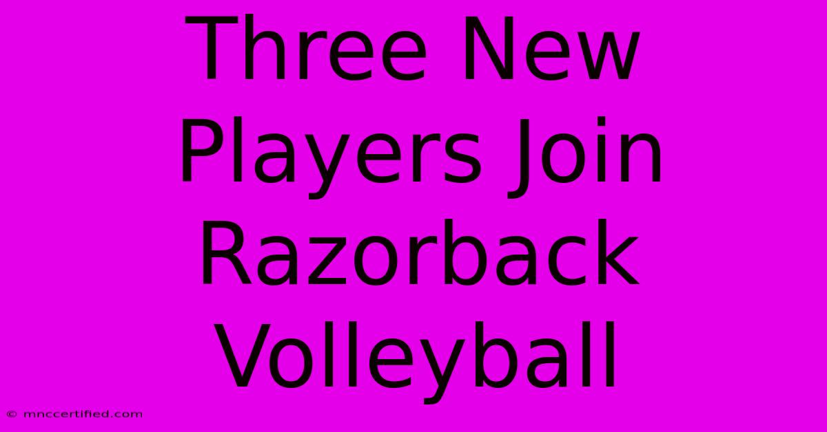 Three New Players Join Razorback Volleyball