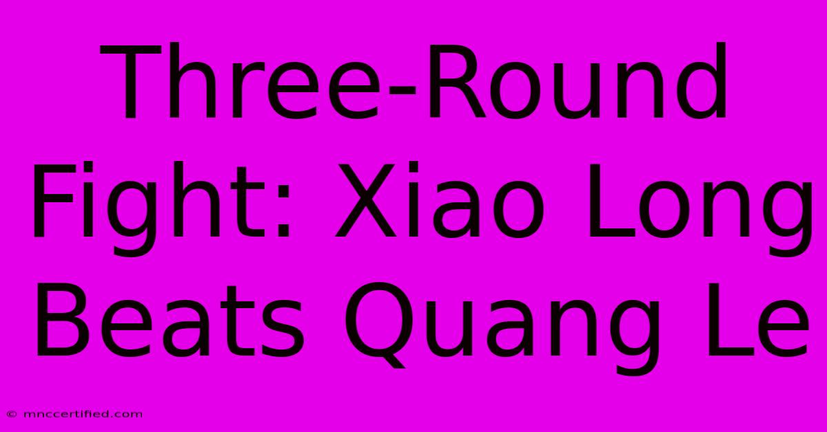 Three-Round Fight: Xiao Long Beats Quang Le