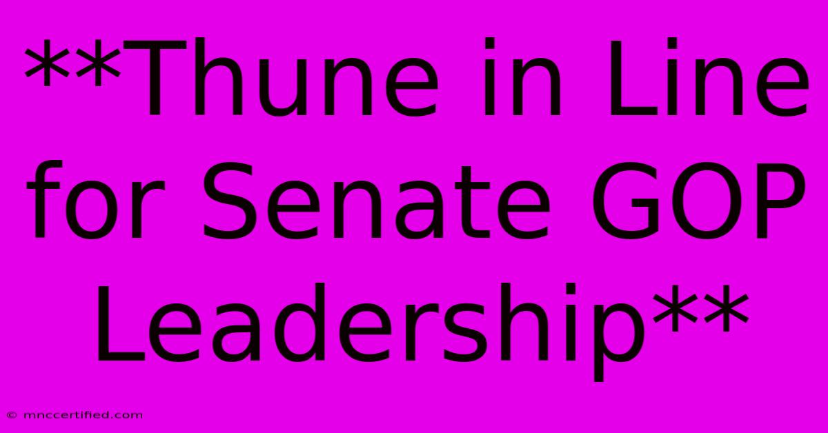 **Thune In Line For Senate GOP Leadership**