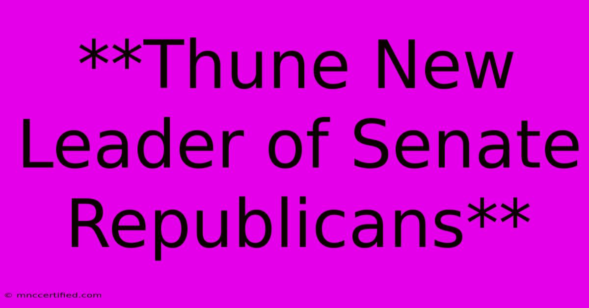 **Thune New Leader Of Senate Republicans** 