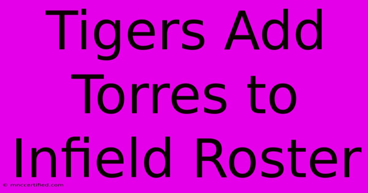 Tigers Add Torres To Infield Roster