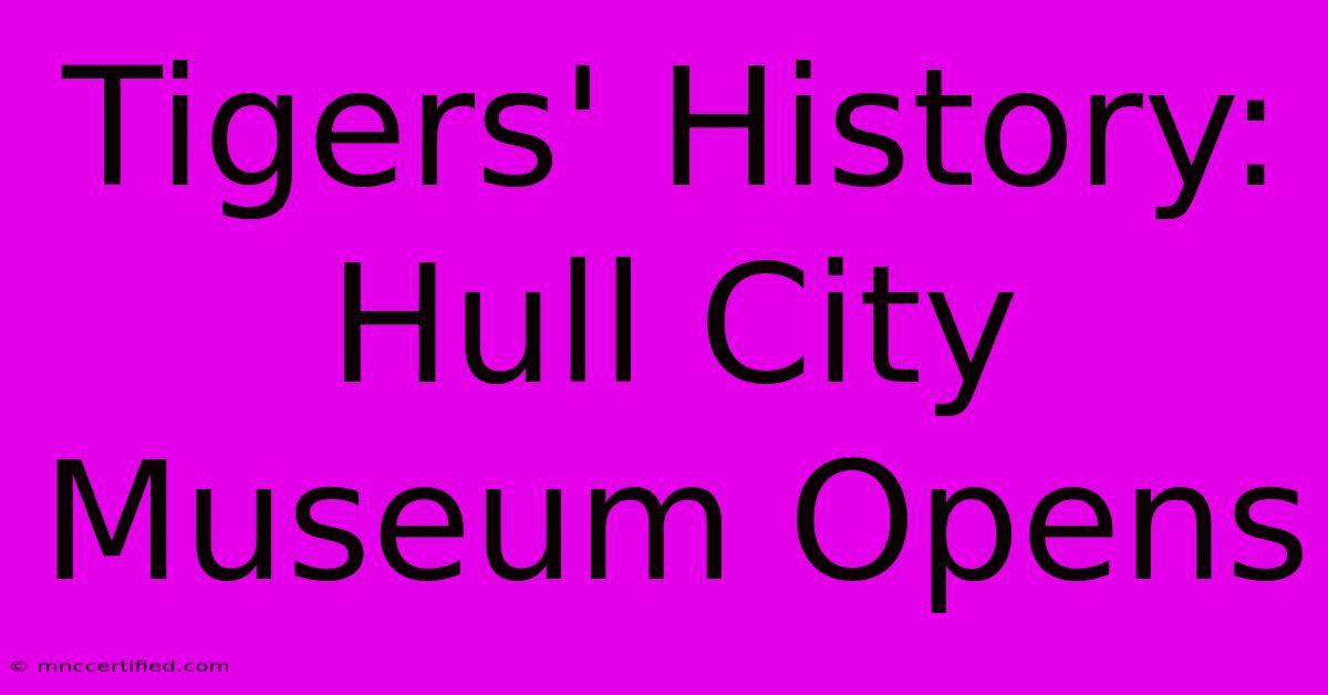 Tigers' History: Hull City Museum Opens