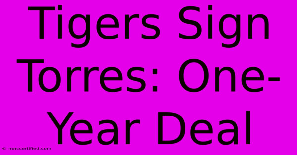 Tigers Sign Torres: One-Year Deal