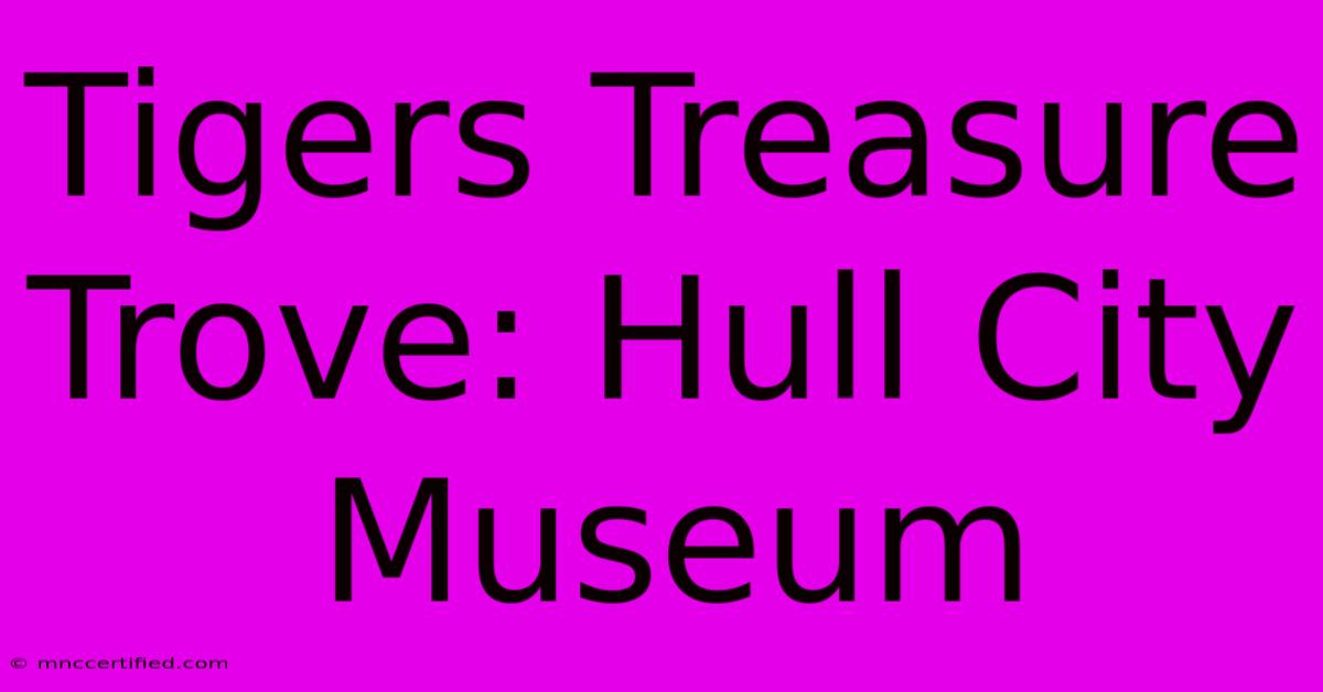 Tigers Treasure Trove: Hull City Museum