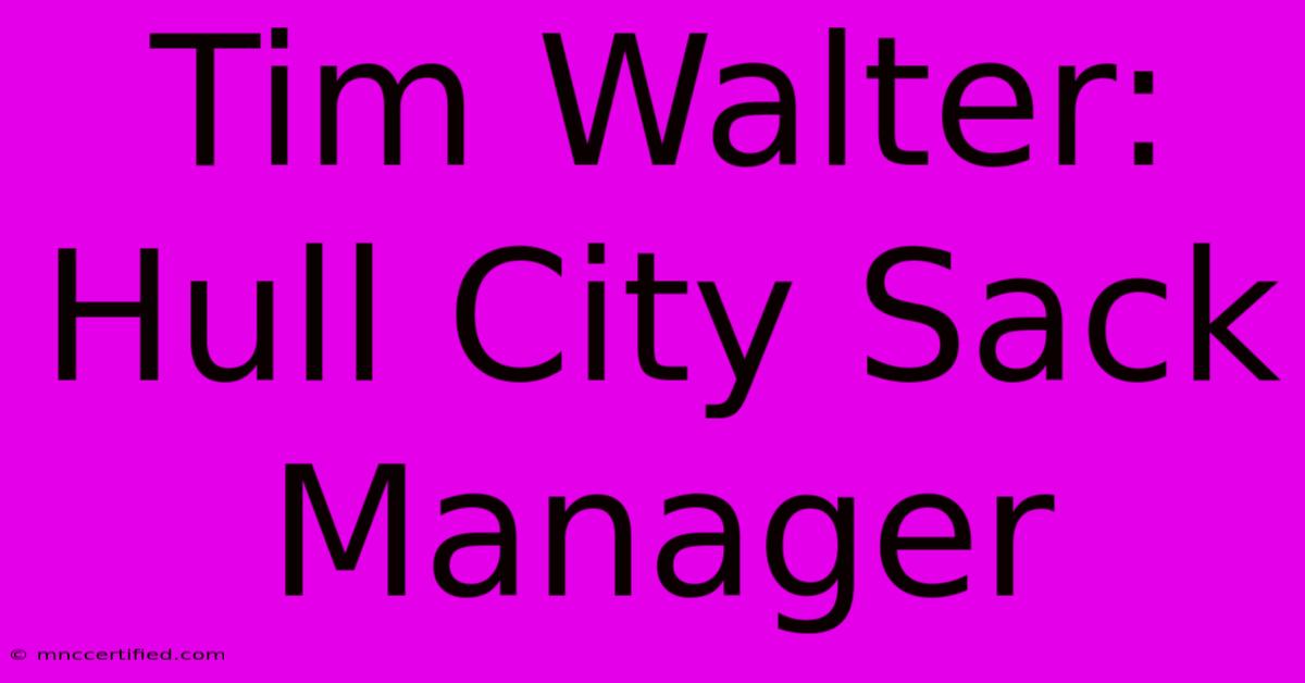 Tim Walter: Hull City Sack Manager