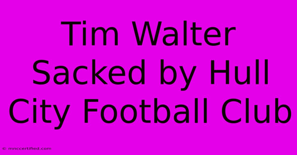 Tim Walter Sacked By Hull City Football Club