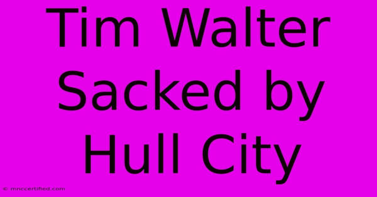 Tim Walter Sacked By Hull City