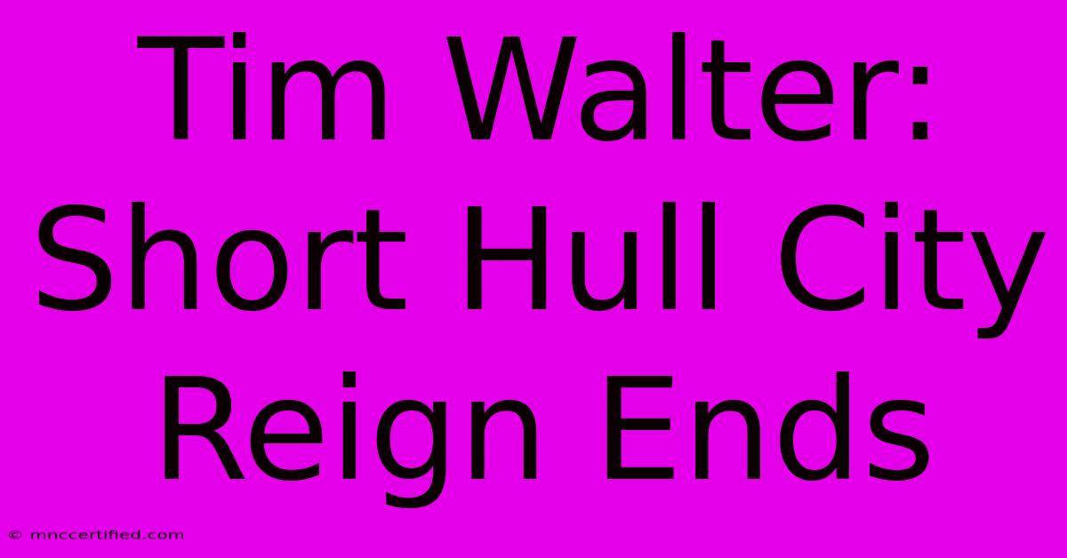 Tim Walter: Short Hull City Reign Ends