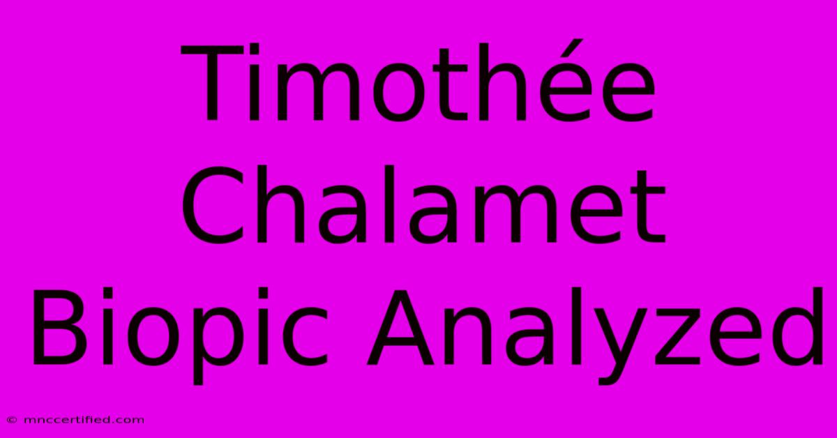 Timothée Chalamet Biopic Analyzed