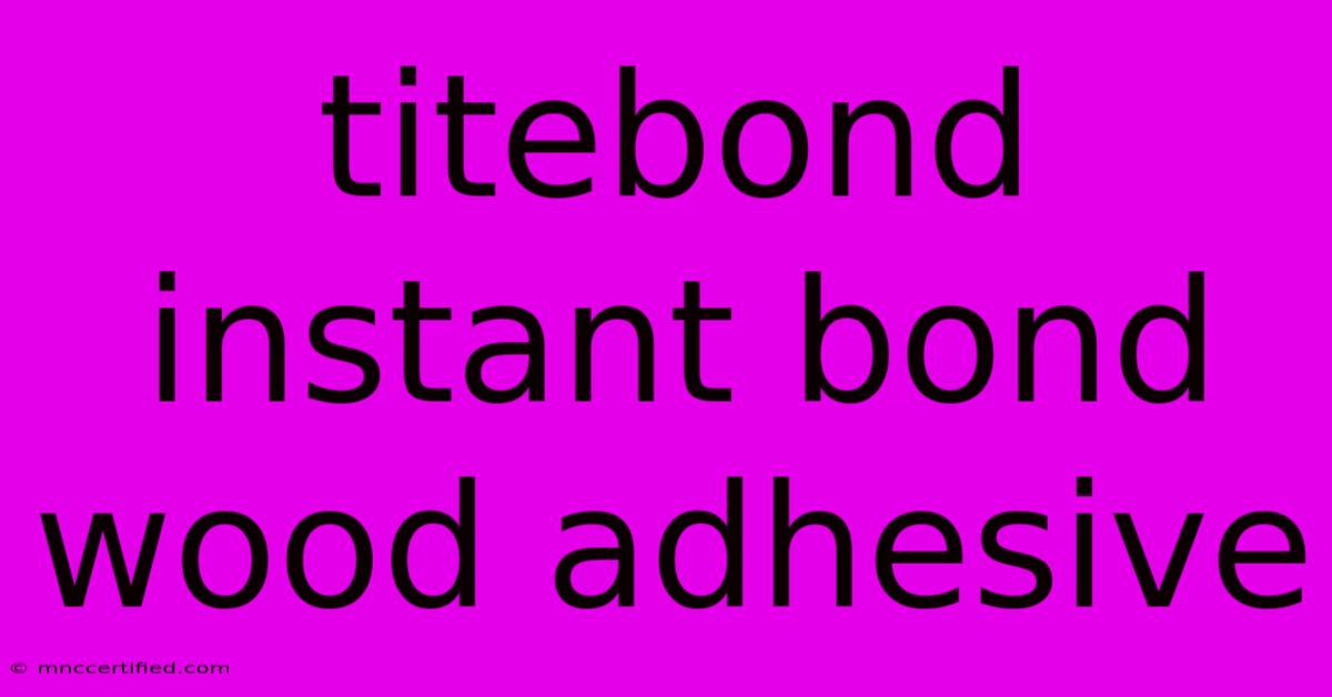 Titebond Instant Bond Wood Adhesive