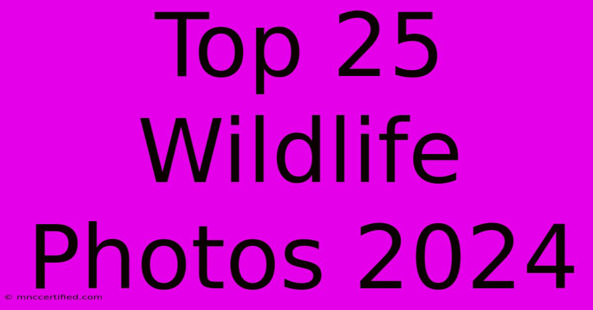 Top 25 Wildlife Photos 2024