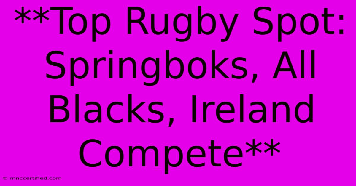 **Top Rugby Spot: Springboks, All Blacks, Ireland Compete**