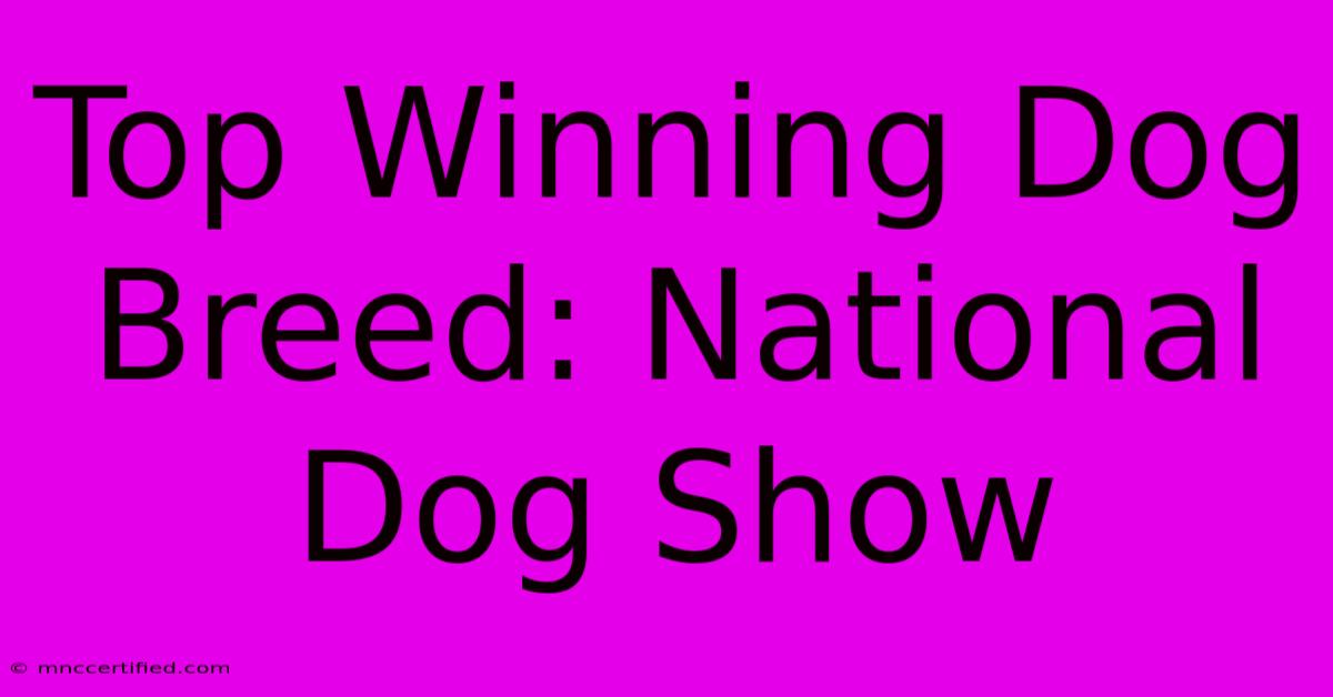 Top Winning Dog Breed: National Dog Show