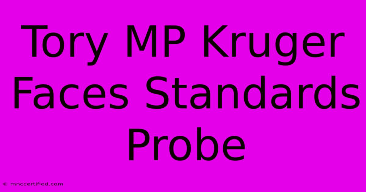 Tory MP Kruger Faces Standards Probe