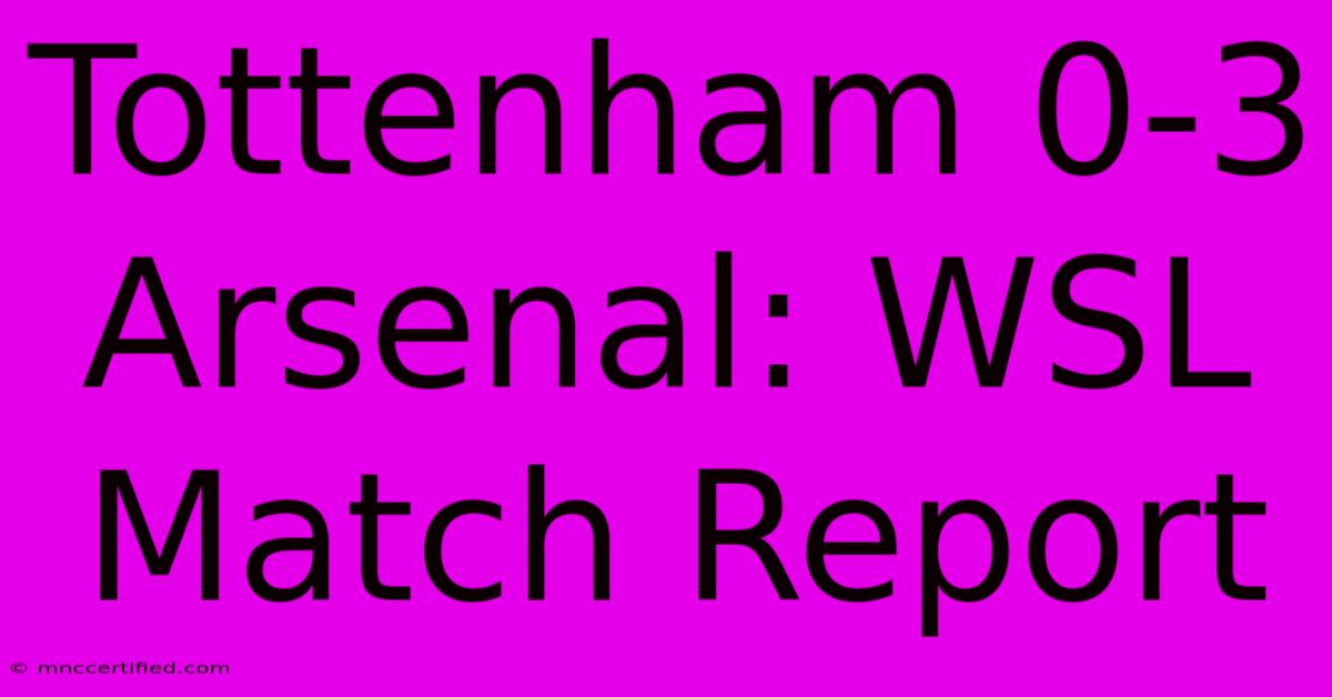 Tottenham 0-3 Arsenal: WSL Match Report