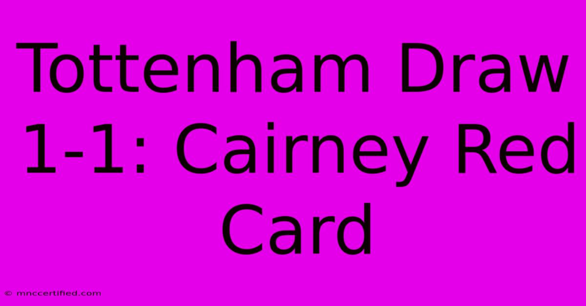 Tottenham Draw 1-1: Cairney Red Card