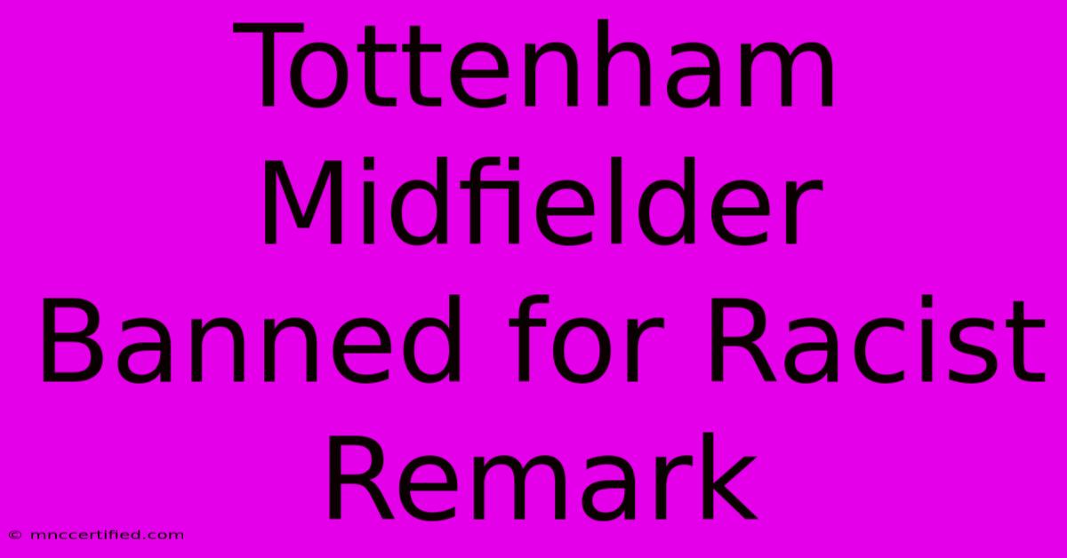 Tottenham Midfielder Banned For Racist Remark