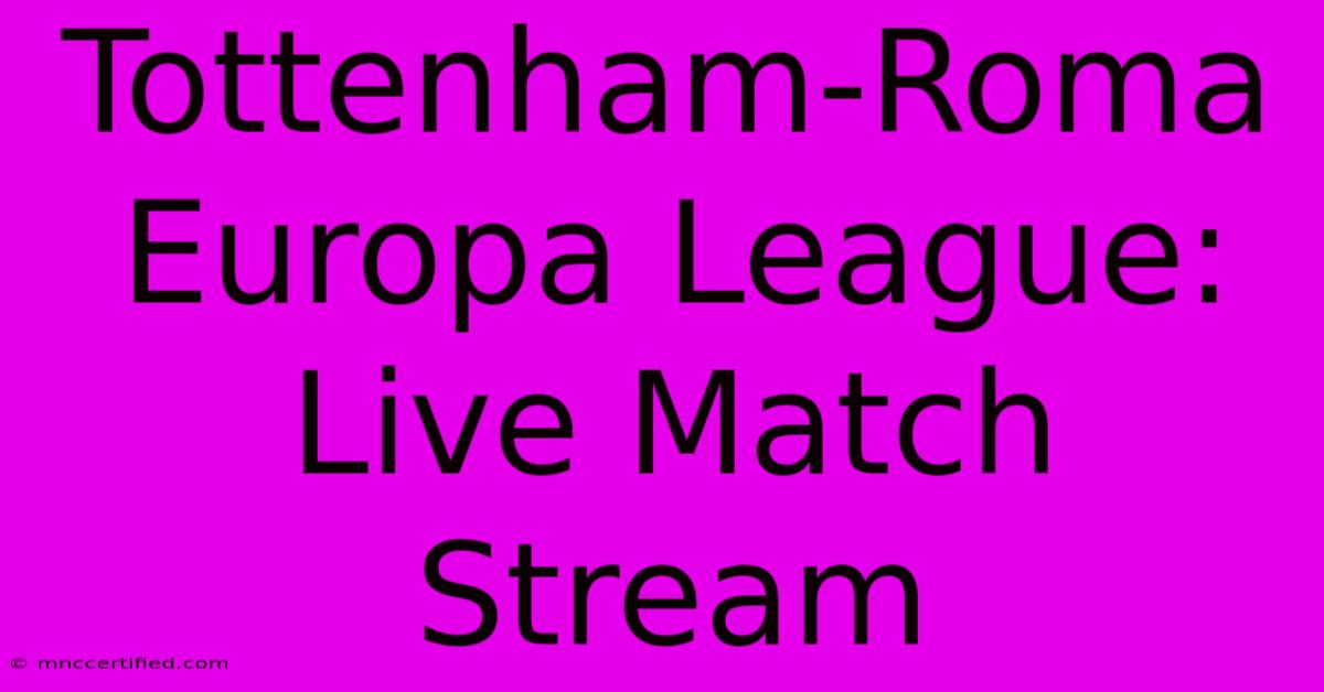 Tottenham-Roma Europa League: Live Match Stream