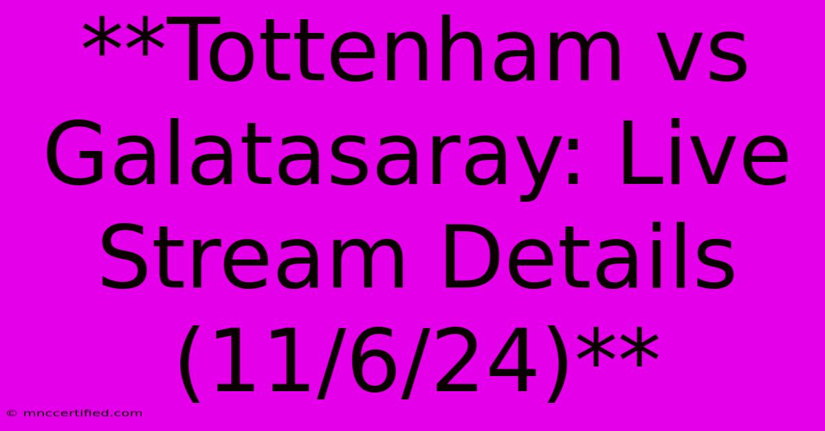 **Tottenham Vs Galatasaray: Live Stream Details (11/6/24)** 