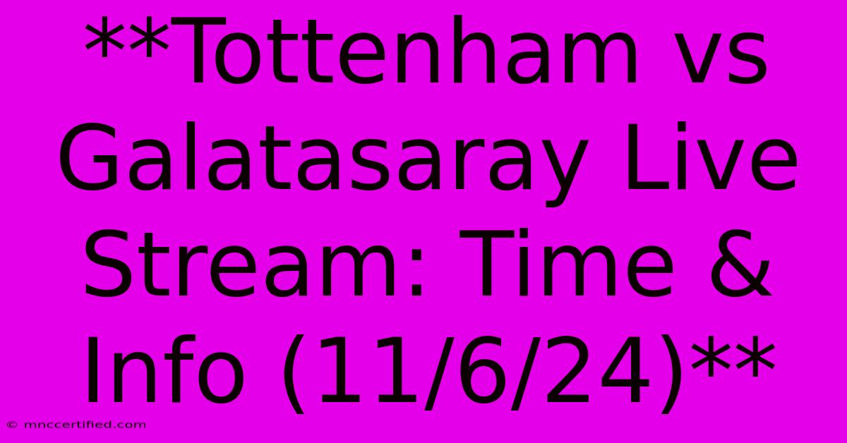 **Tottenham Vs Galatasaray Live Stream: Time & Info (11/6/24)**