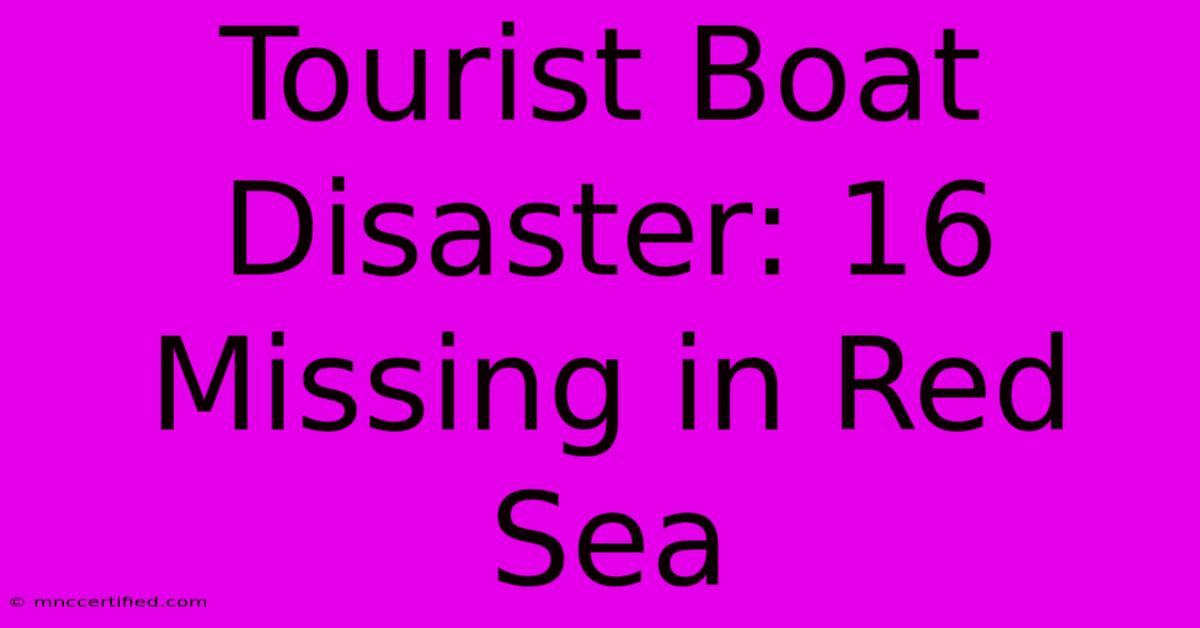 Tourist Boat Disaster: 16 Missing In Red Sea