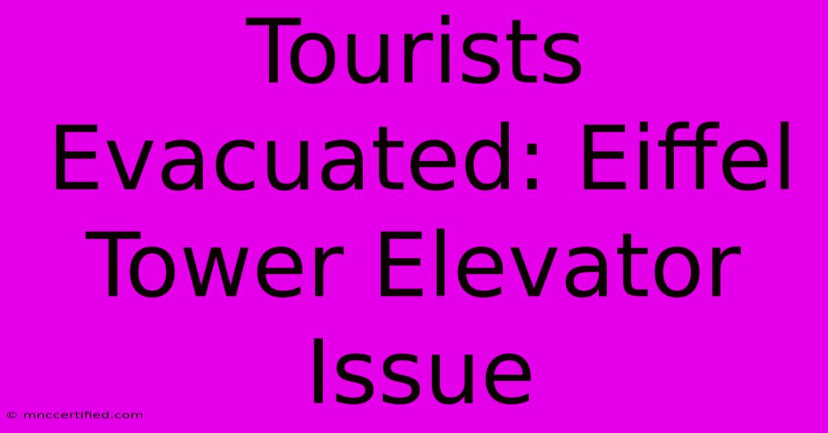 Tourists Evacuated: Eiffel Tower Elevator Issue