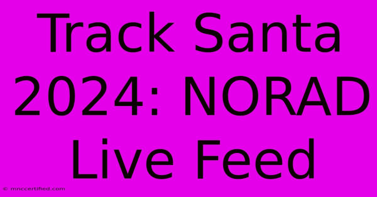 Track Santa 2024: NORAD Live Feed