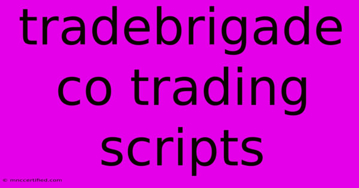 Tradebrigade Co Trading Scripts