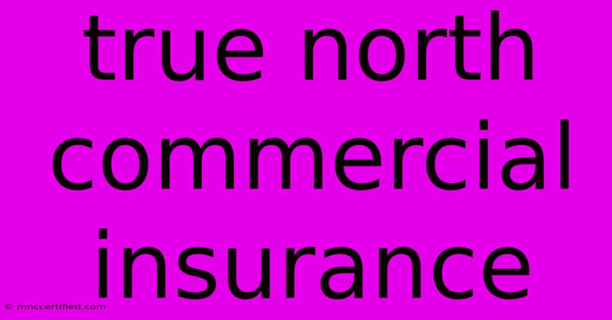 True North Commercial Insurance