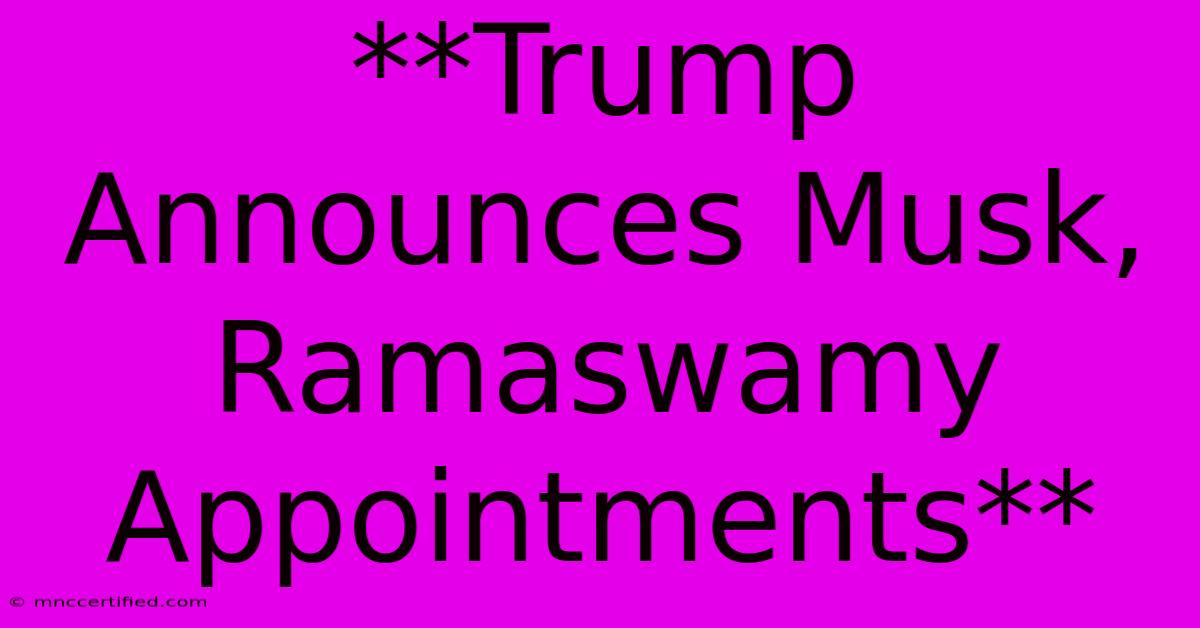 **Trump Announces Musk, Ramaswamy Appointments** 