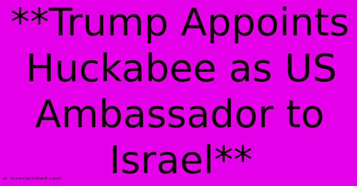 **Trump Appoints Huckabee As US Ambassador To Israel**