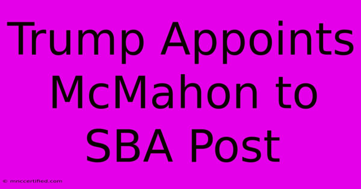 Trump Appoints McMahon To SBA Post