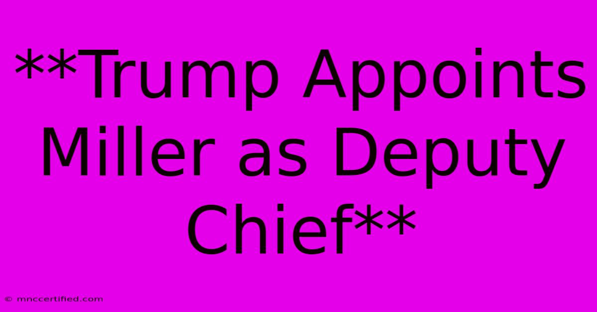 **Trump Appoints Miller As Deputy Chief**