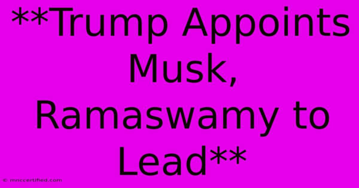 **Trump Appoints Musk, Ramaswamy To Lead**