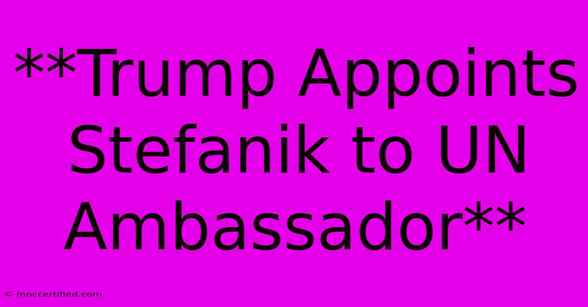 **Trump Appoints Stefanik To UN Ambassador**