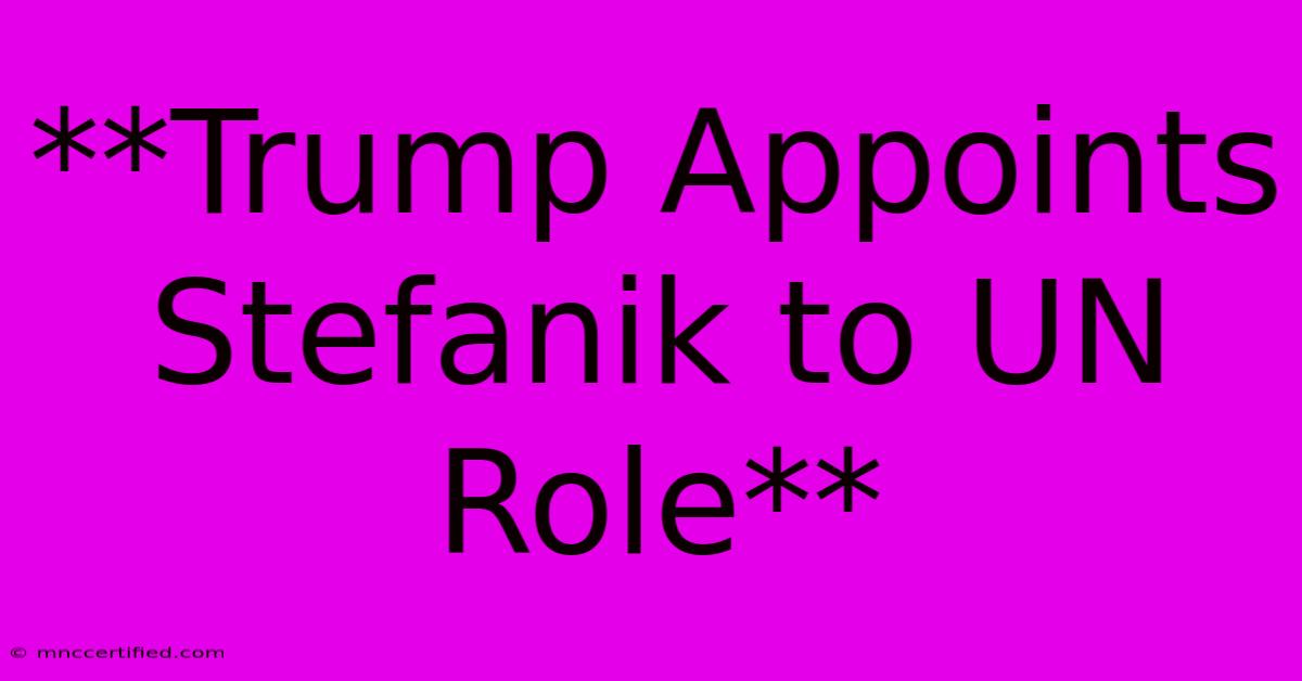 **Trump Appoints Stefanik To UN Role**