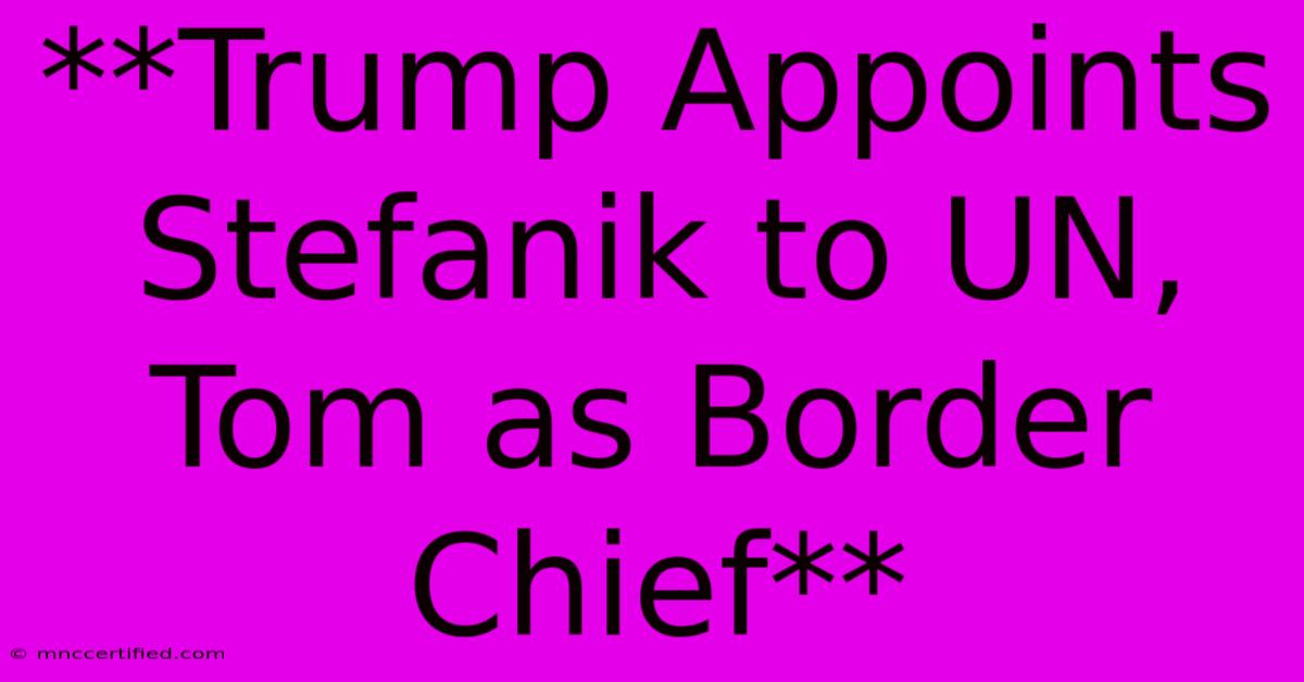 **Trump Appoints Stefanik To UN, Tom As Border Chief**