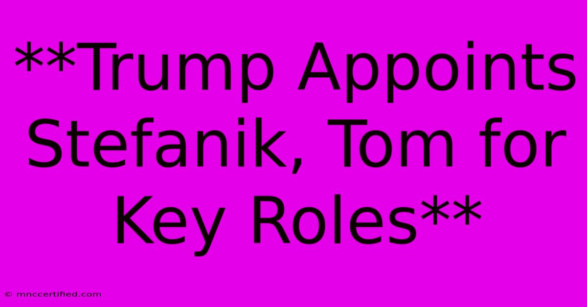 **Trump Appoints Stefanik, Tom For Key Roles**