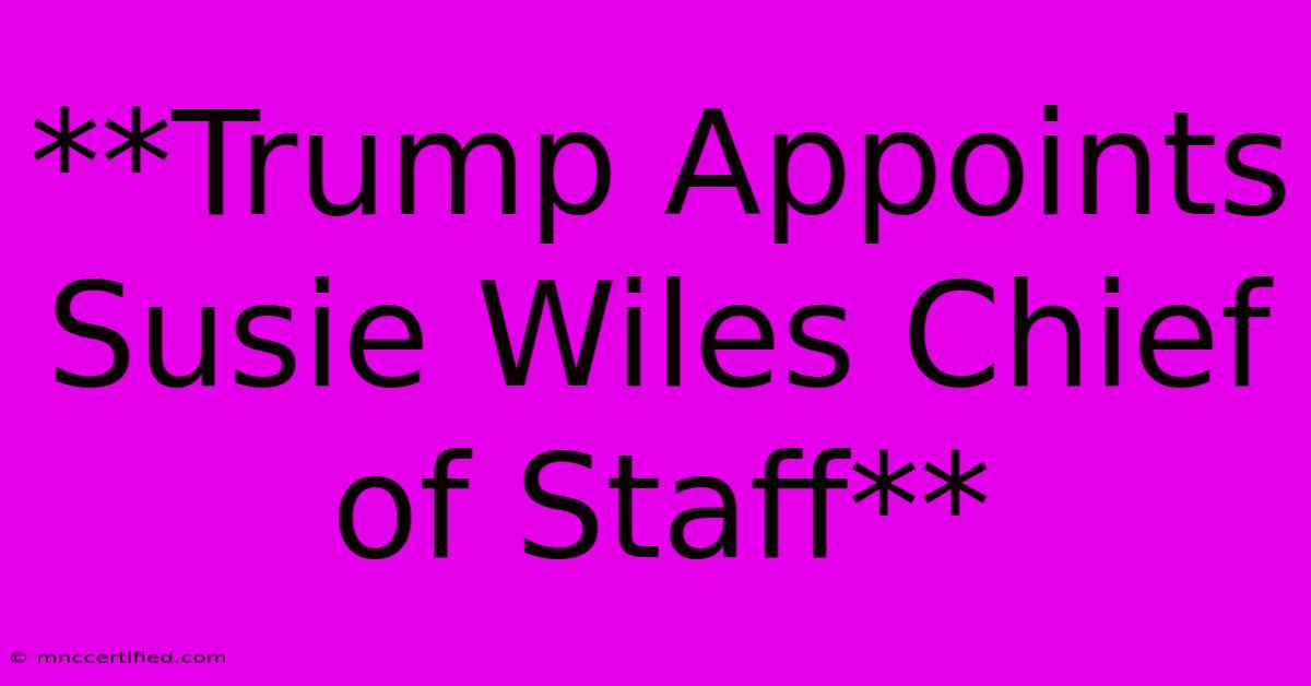 **Trump Appoints Susie Wiles Chief Of Staff**