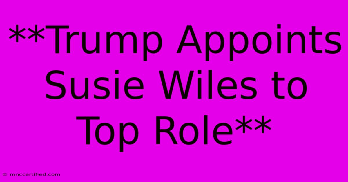 **Trump Appoints Susie Wiles To Top Role** 