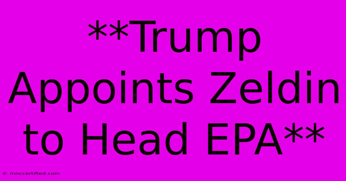 **Trump Appoints Zeldin To Head EPA**