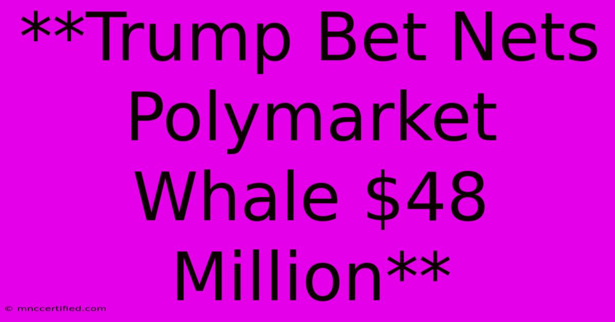 **Trump Bet Nets Polymarket Whale $48 Million**