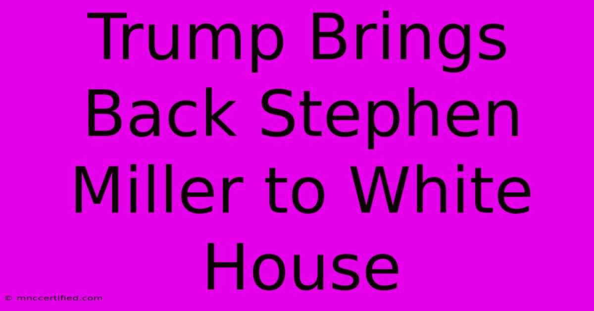 Trump Brings Back Stephen Miller To White House