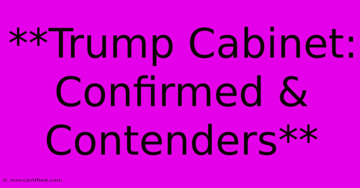 **Trump Cabinet: Confirmed & Contenders**