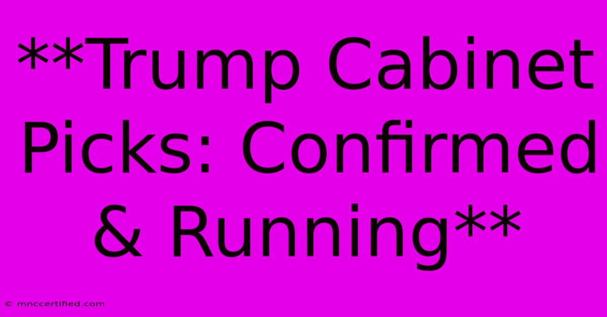 **Trump Cabinet Picks: Confirmed & Running** 