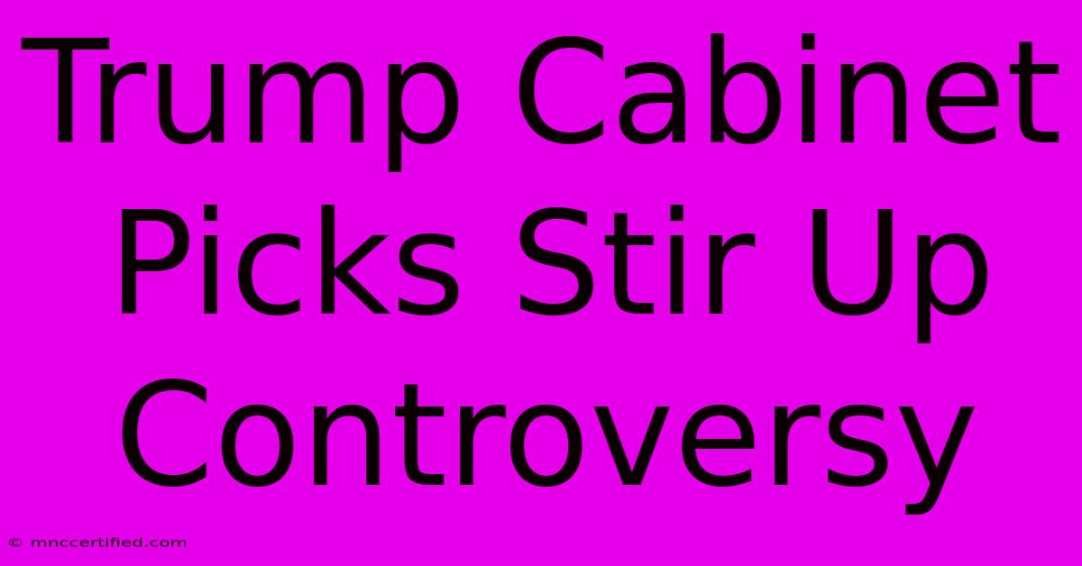 Trump Cabinet Picks Stir Up Controversy